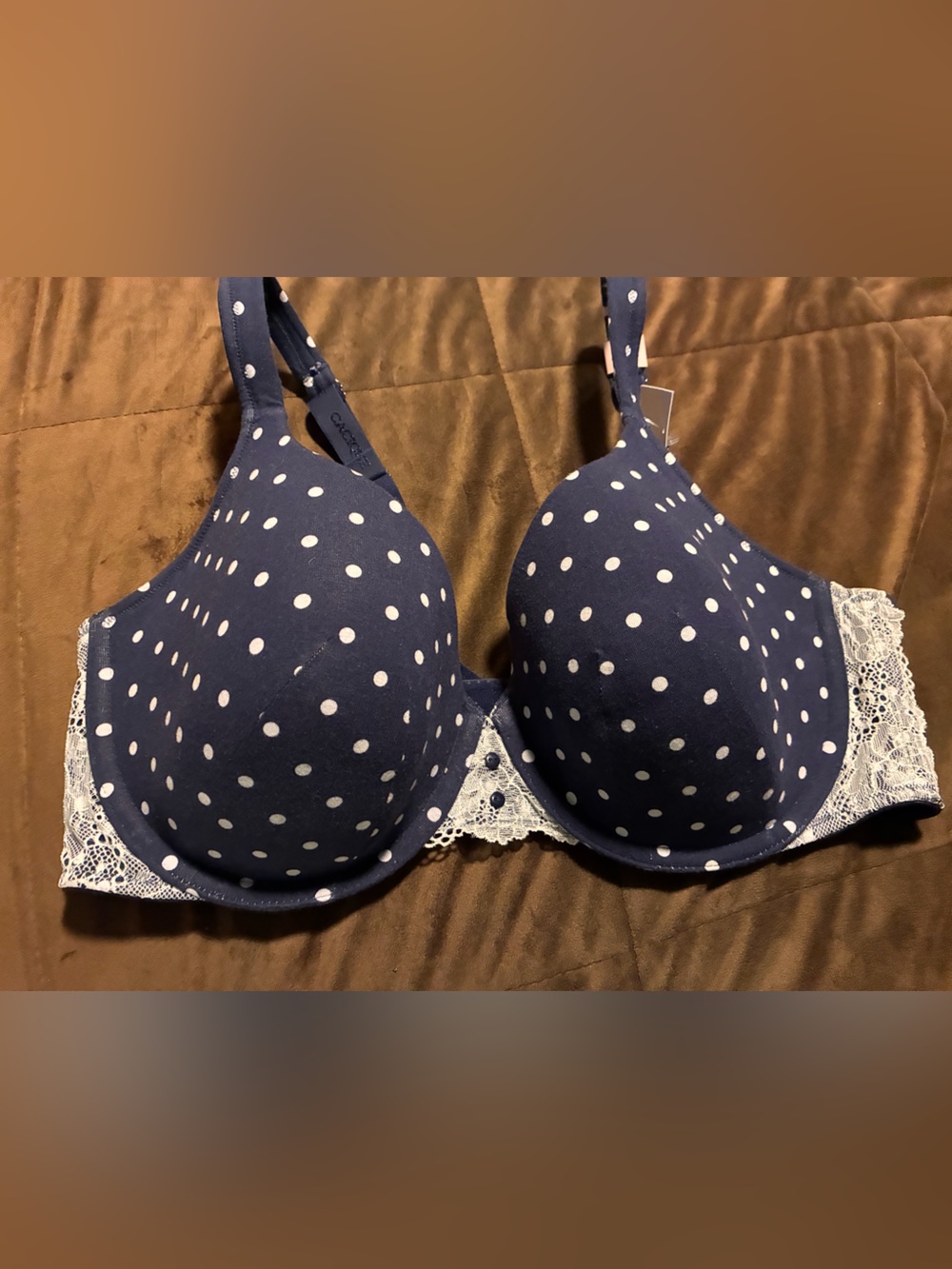 Cacique Navy Polka Dot Lace-Trim Lightly Lined T-Shirt Bra, size 42D, nwt